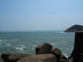 The Nature - 01