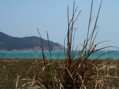 The Nature - 12
